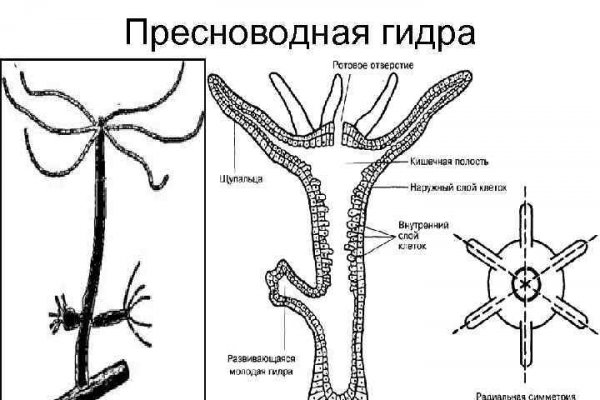 Рабочая ссылка на блэкспрут blacksprut adress com