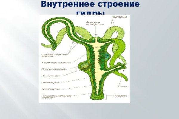 Логин пароль blacksprut bs2web top