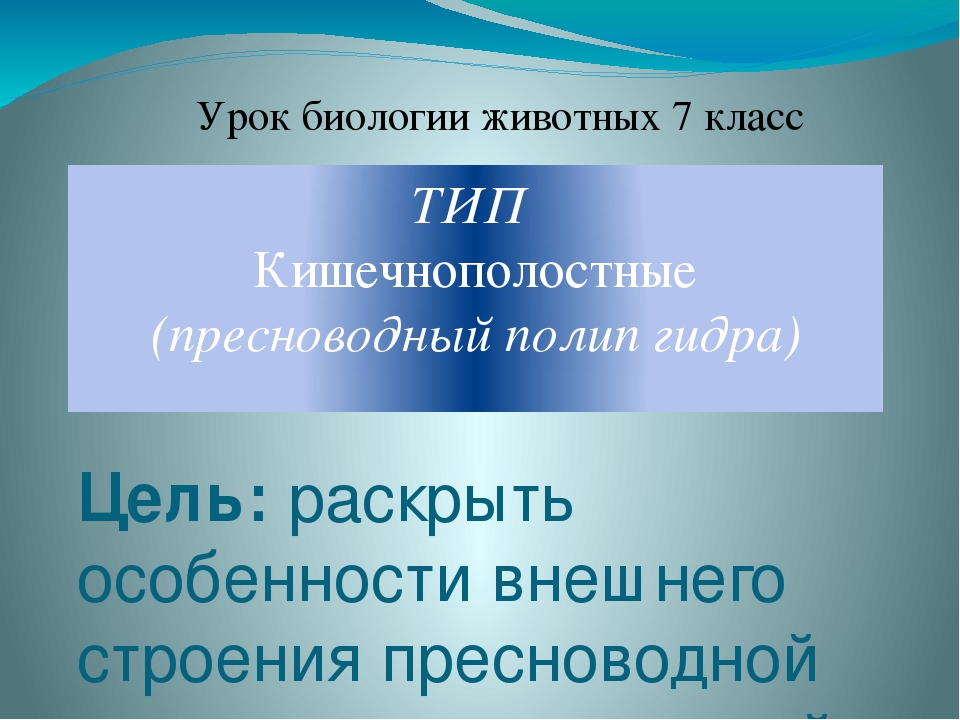 Клир ссылка на блэкспрут bs2web top